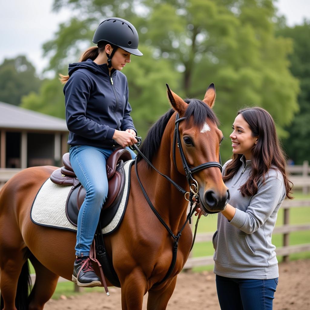 Equine-Assisted Therapy: Healing and Connection Through Horses