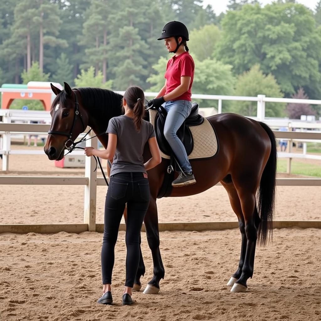 Basic Horse Riding Techniques