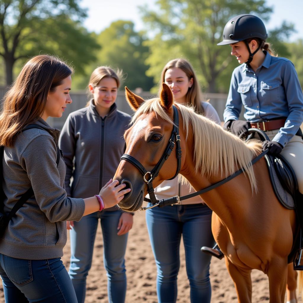 Horse Care Resources and Community