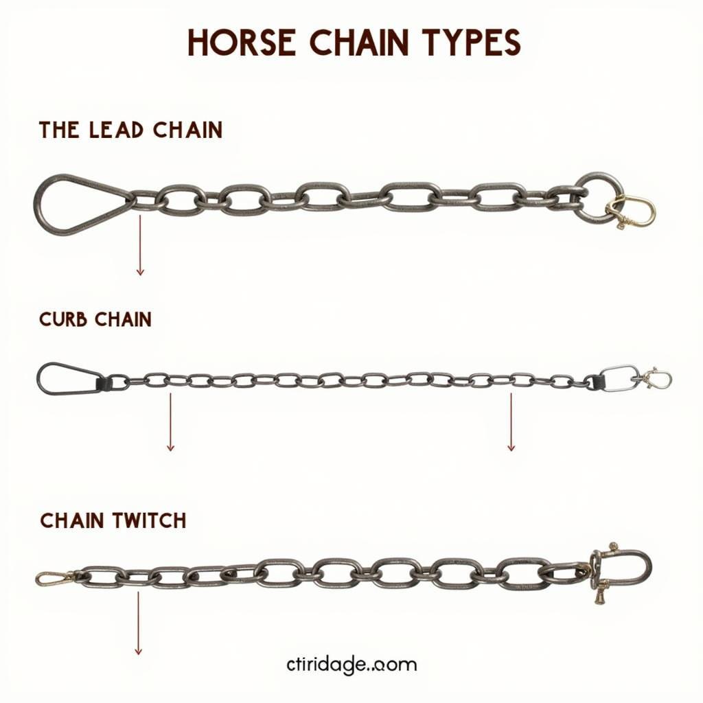 Different Types of Horse Chains: Lead, Curb, and More