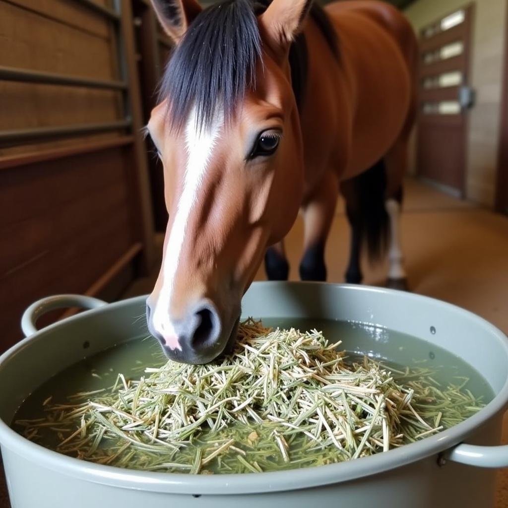 Horse Eating Soaked Hay