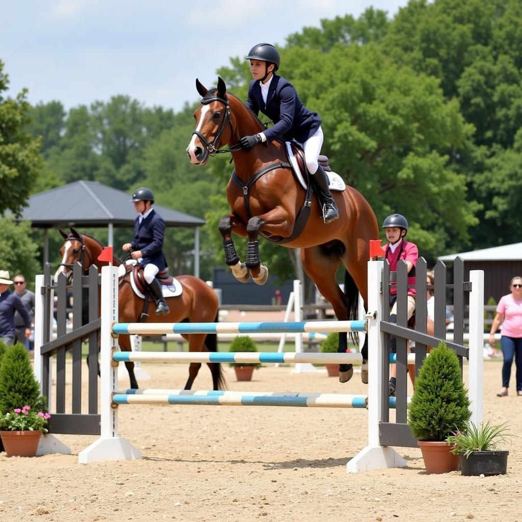 Horse Jumping Lesson in Katy, Texas