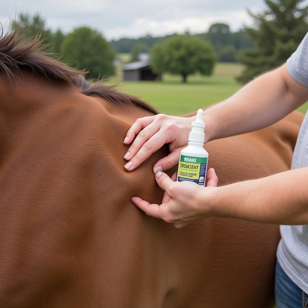 Horse Receiving Tick Treatment