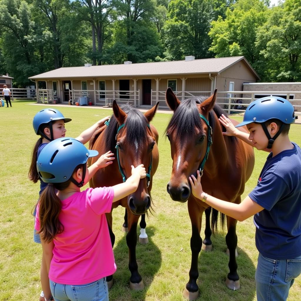 Illinois Horse Camp Activities