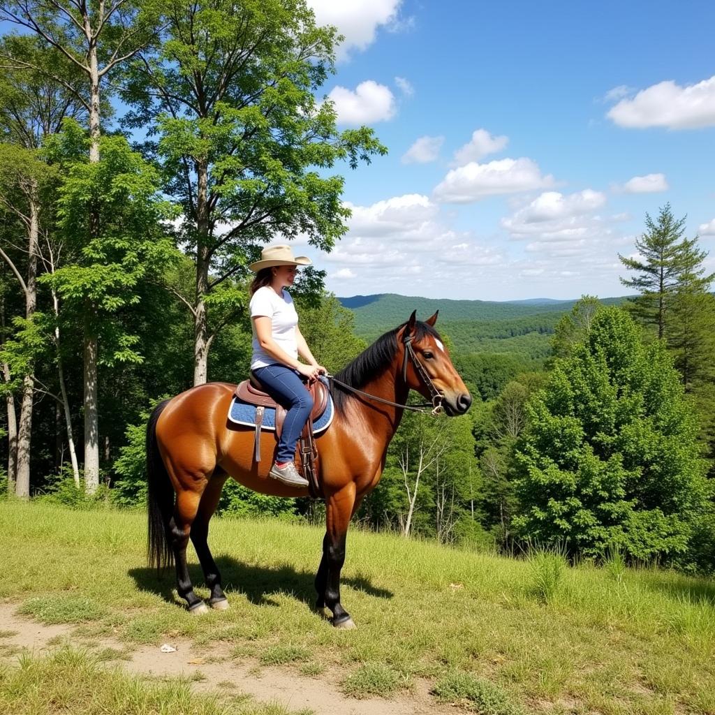 A rider enjoys a scenic trail ride on a Kentucky Mountain Horse, highlighting the breed's suitability for leisurely riding.