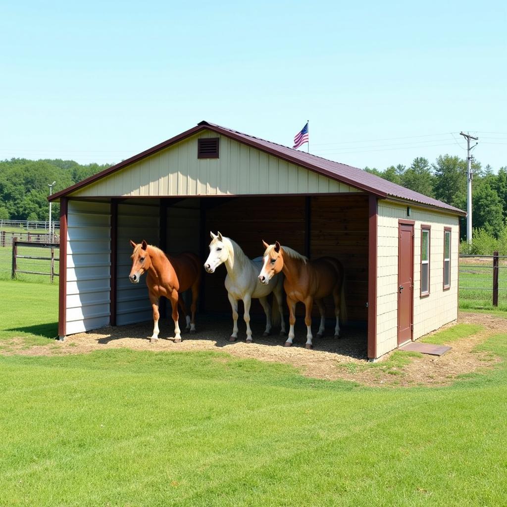 Lean-to shelter protecting horses from sun and rain