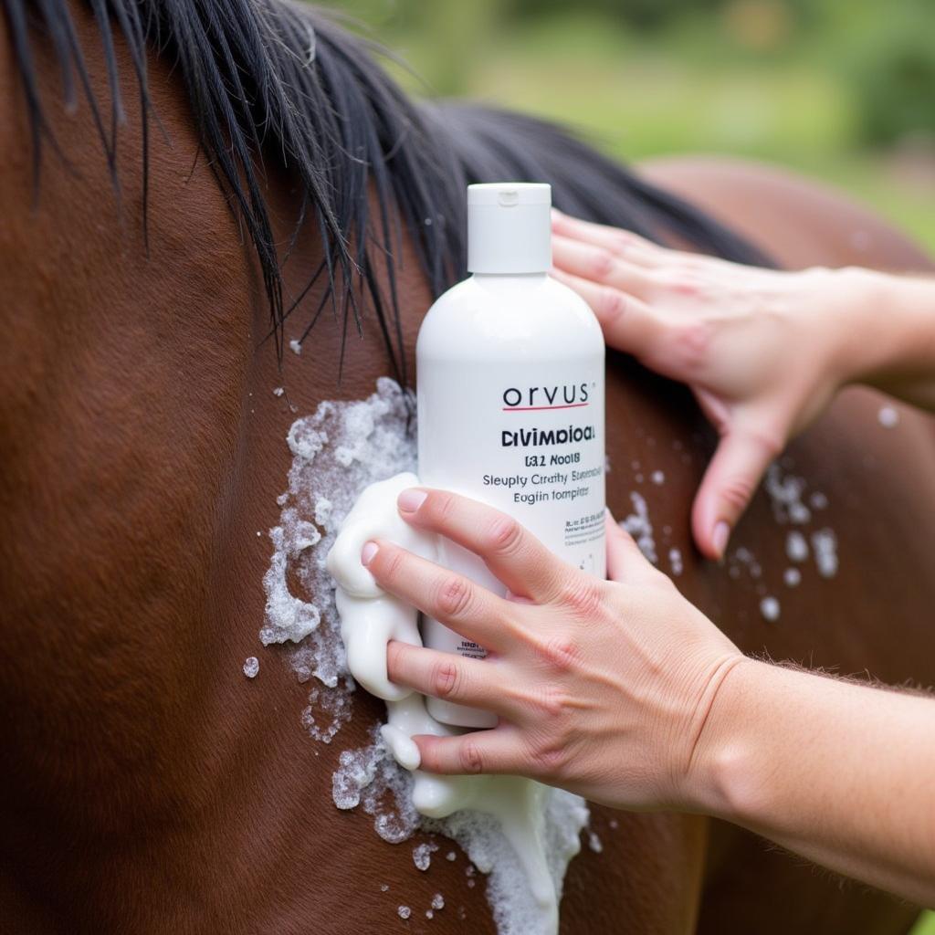 Orvus Shampoo being used to bathe a horse