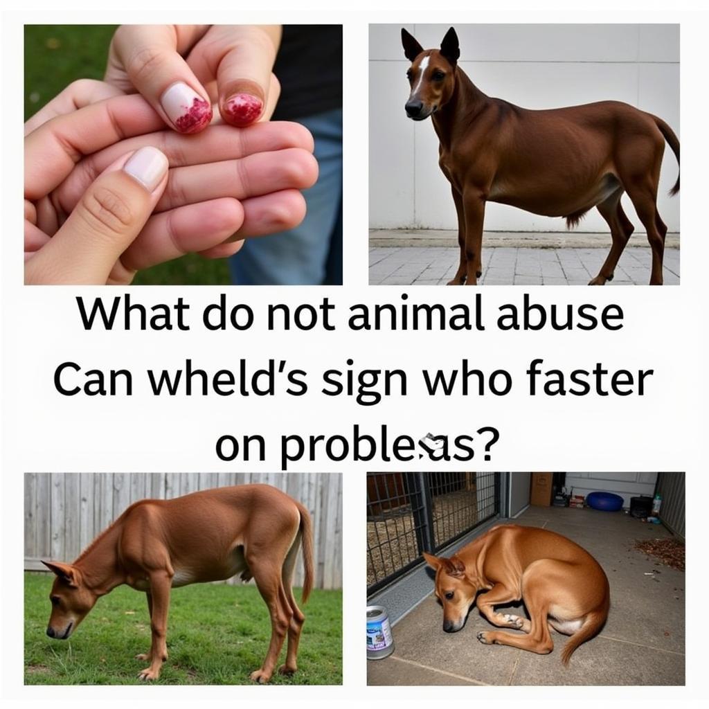 Identifying the signs of animal abuse: Physical injuries, fear, and neglect