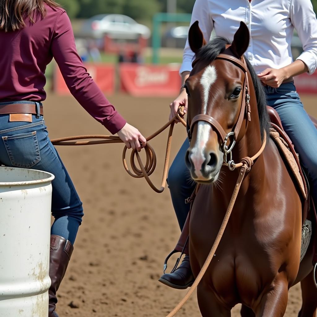 Rider Communicating with Horse Using Barrel Reins