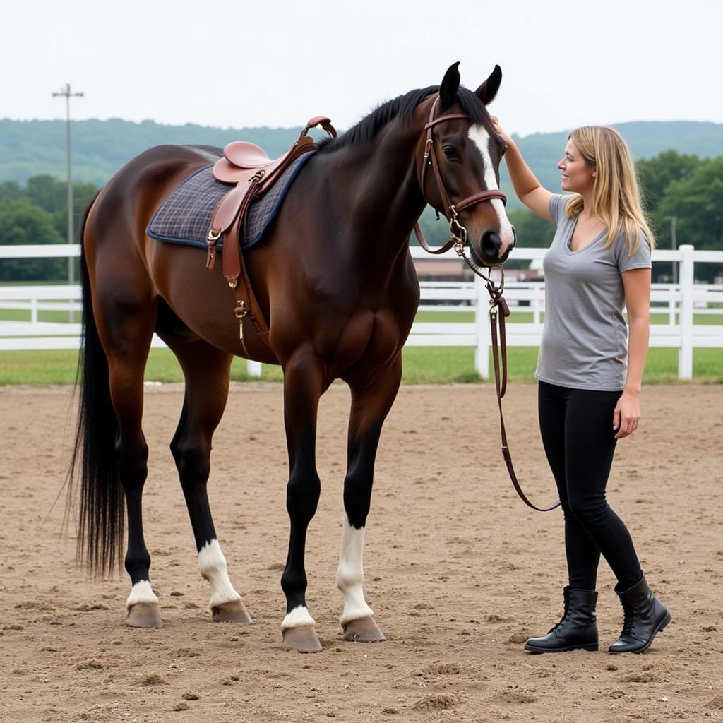 Training a Therapeutic Horse