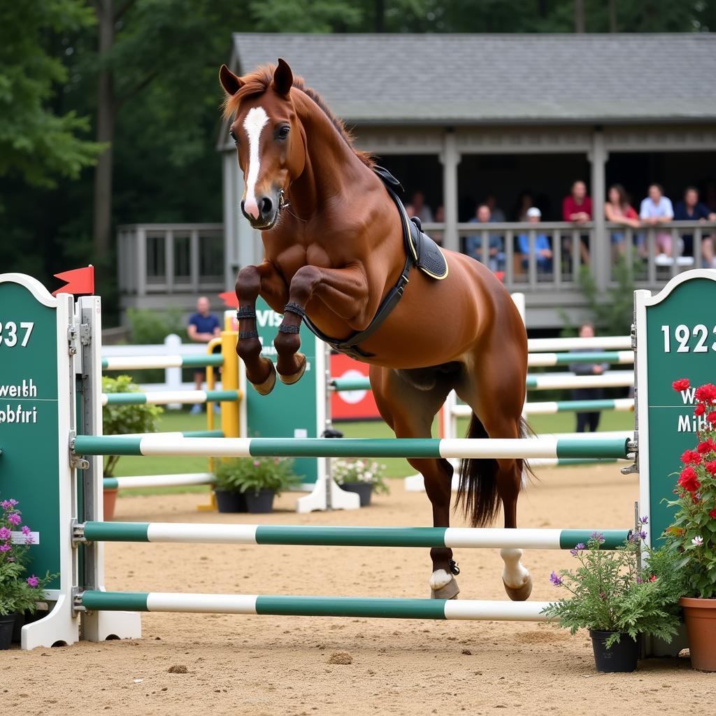 Welsh Pony Excelling in Jumping Competition