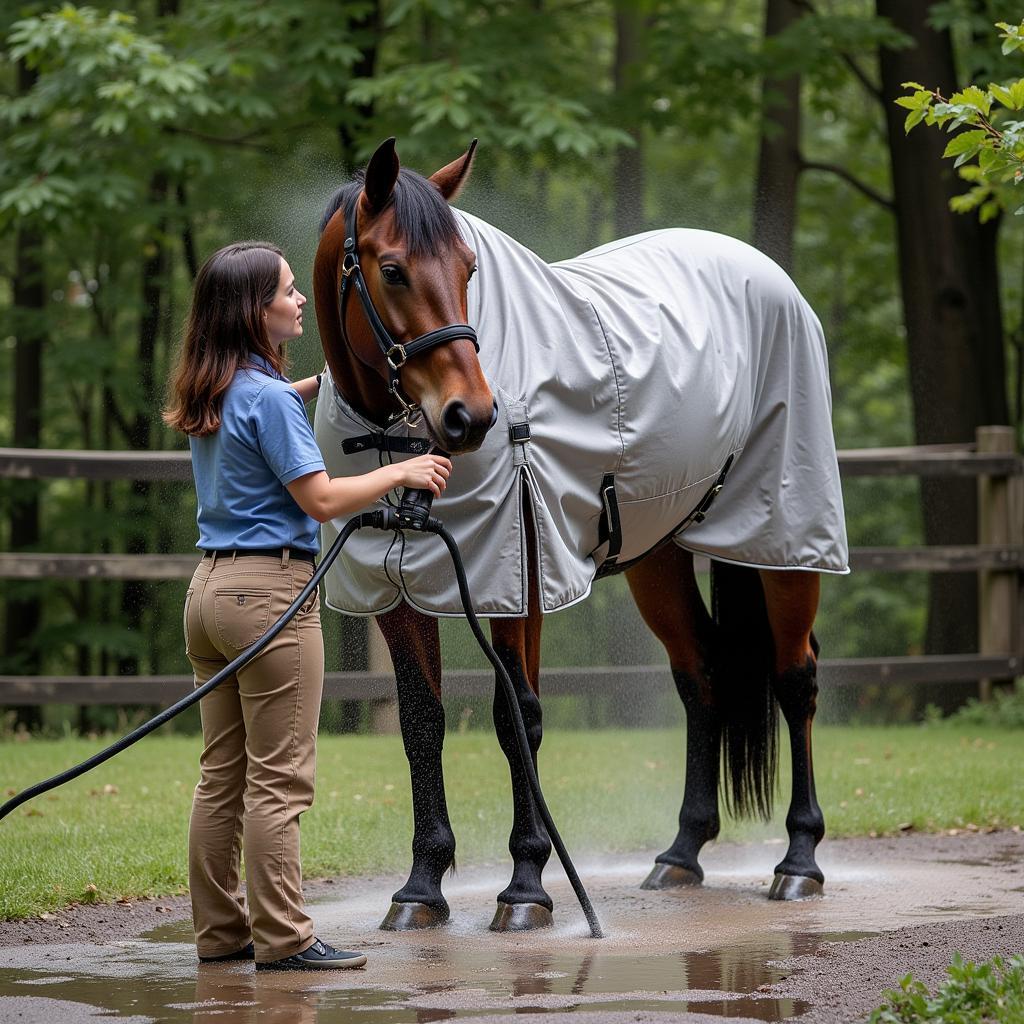 Cleaning Horse Mosquito Sheet