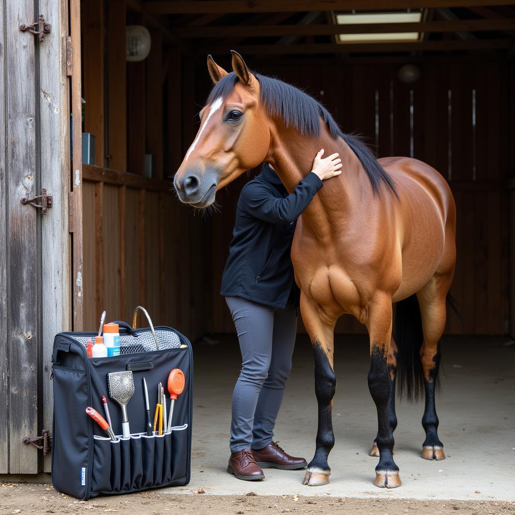 Complete Grooming Kit for Your Horse