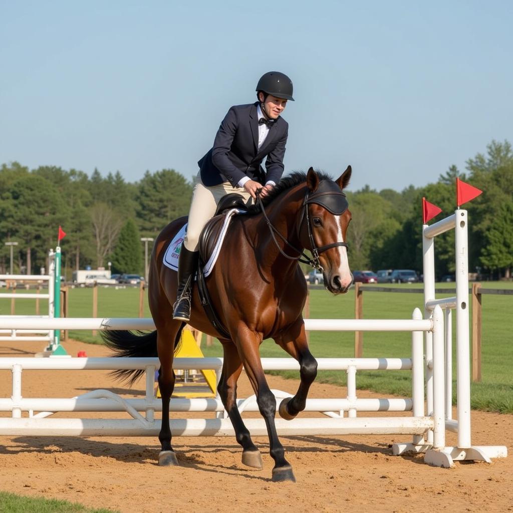 Confident Horse and Rider Partnership through Confidence EQ