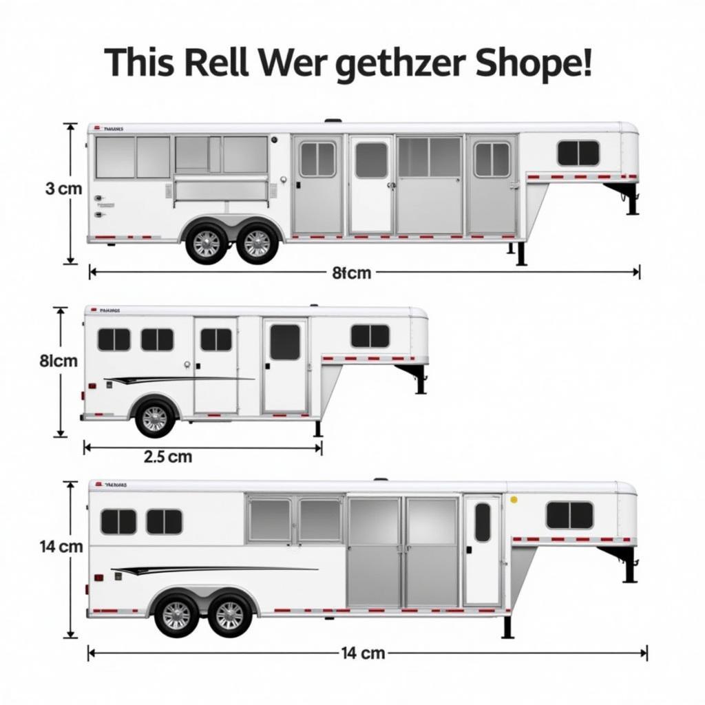 Double D Horse Trailer Dimensions