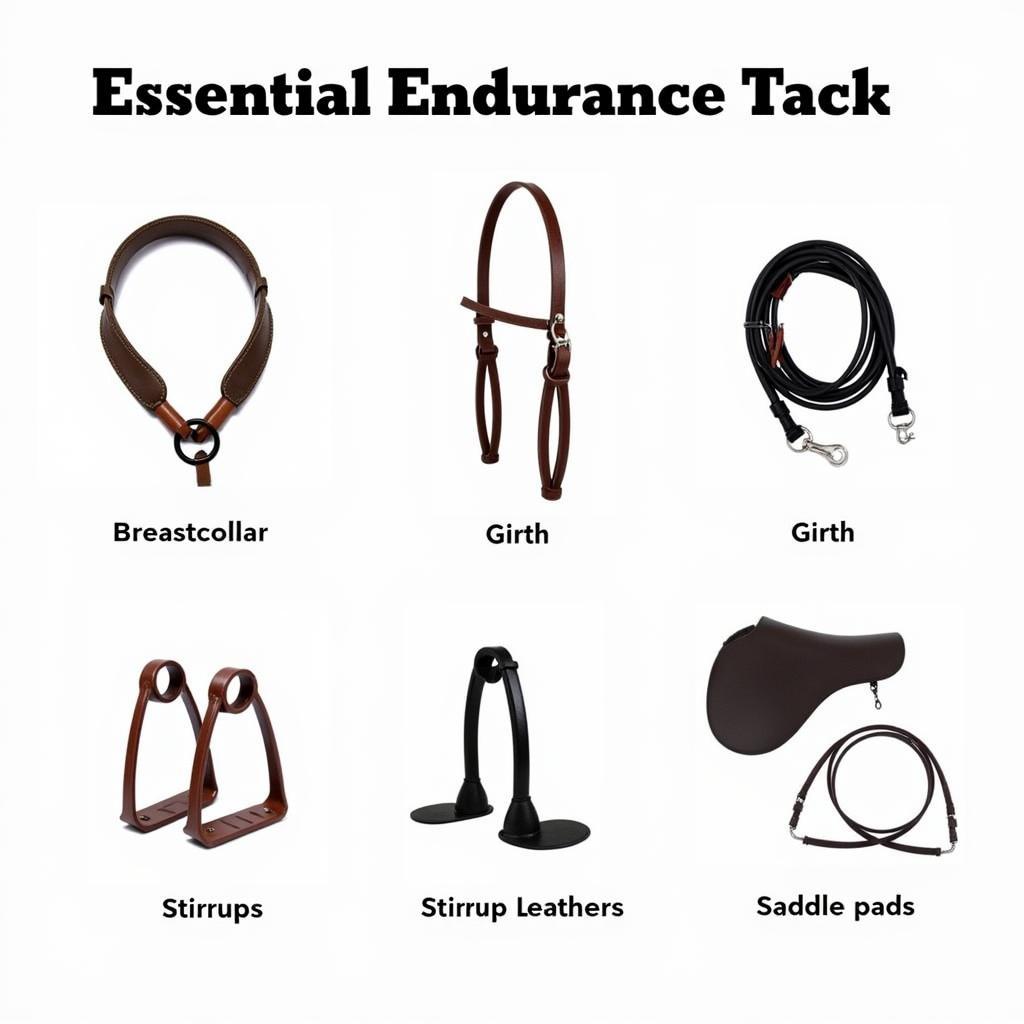 Essential Endurance Tack