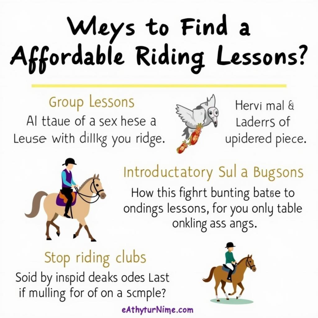 Tips for Finding Affordable Riding Lessons