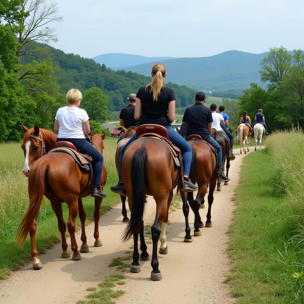 Gaited Horses on Tennessee Trails