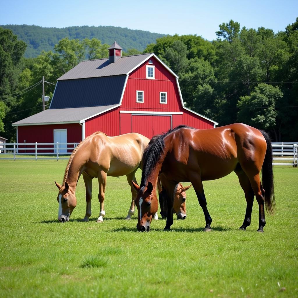 Barn and Pasture on a Georgia Horse Farm