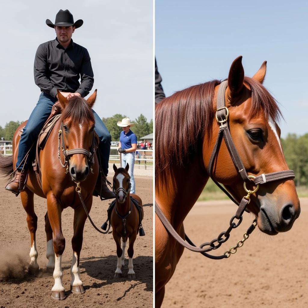 Horse and rider using the correct team roping bit