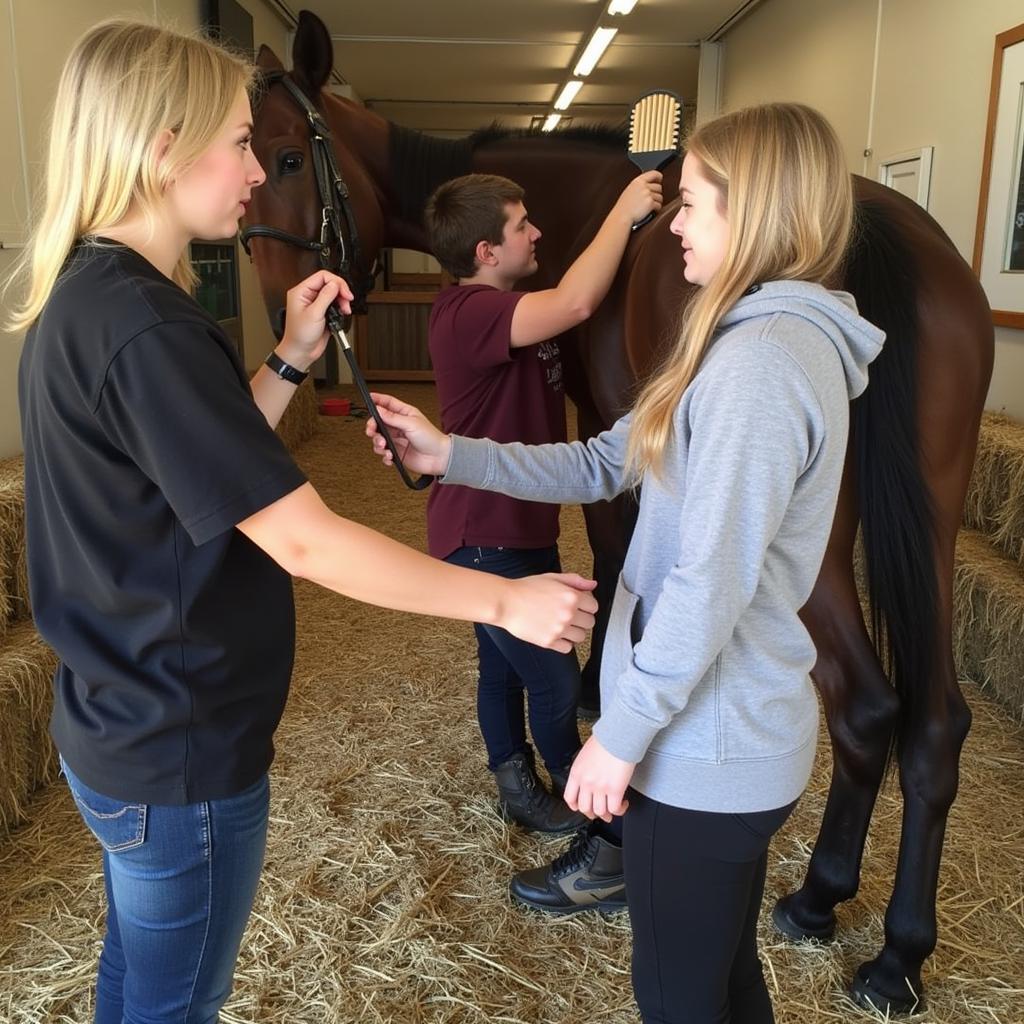 Campers learning how to groom horses at a horse day camp