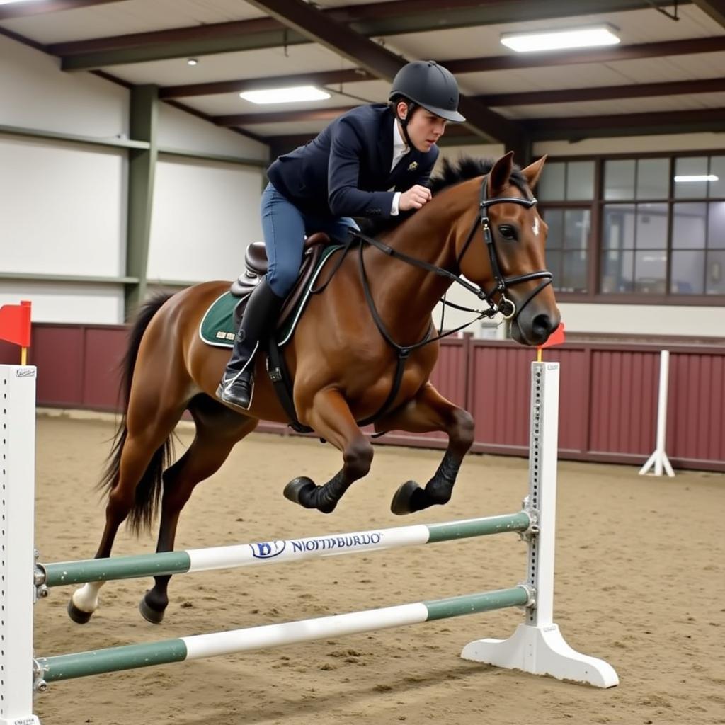 Young Horse Free Jumping over a Small Fence