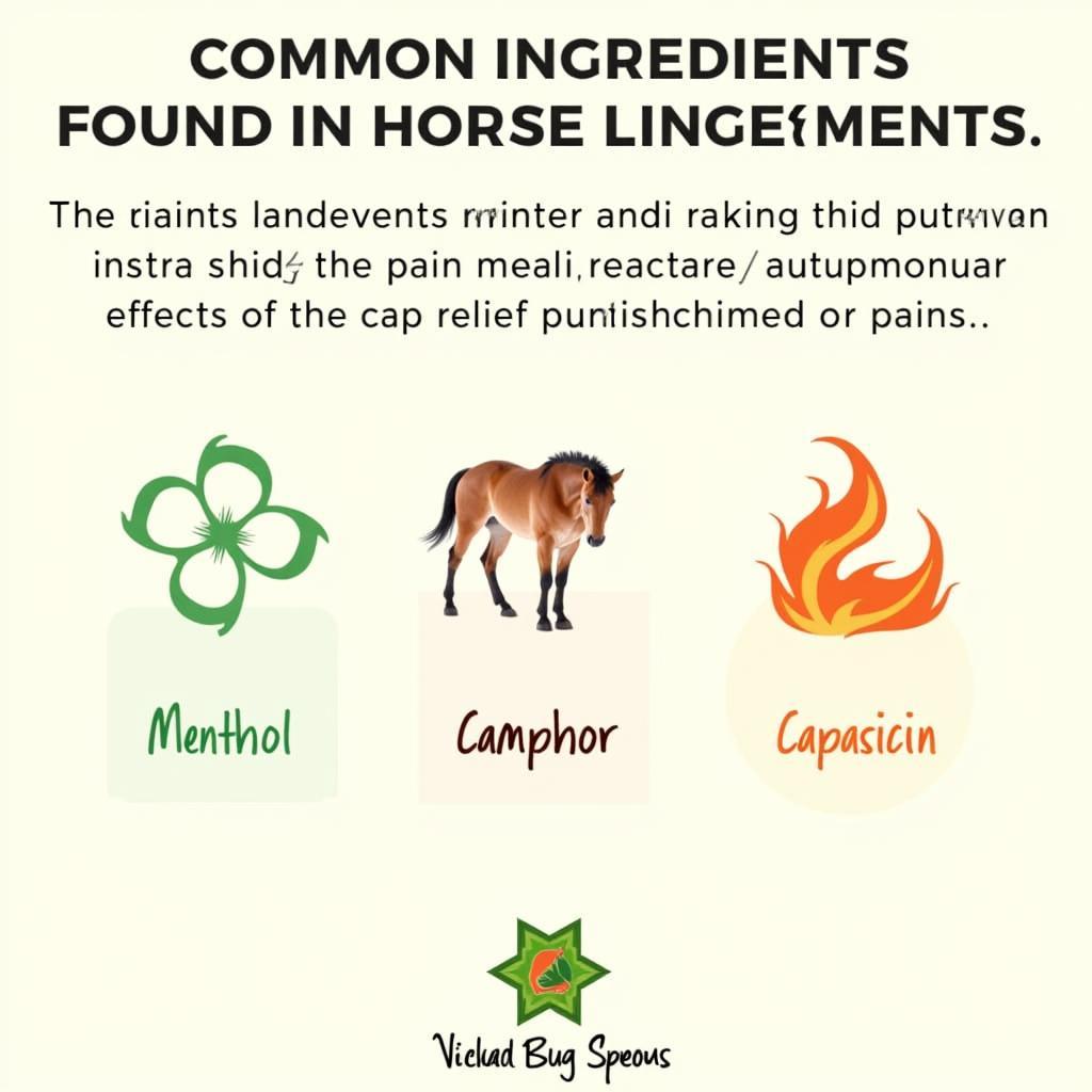 Common Horse Liniment Ingredients and Their Effects