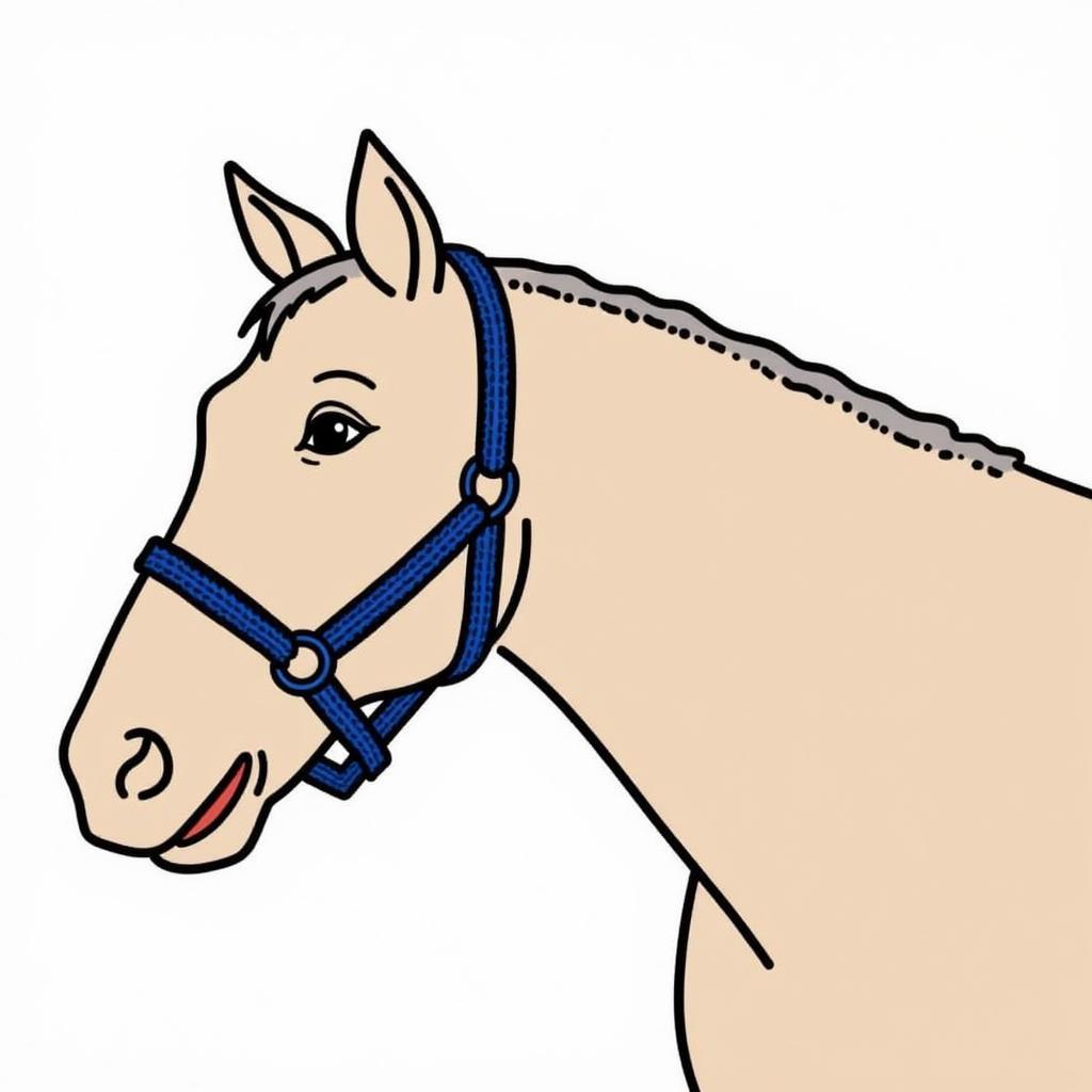 Correctly fitted training halter on a horse