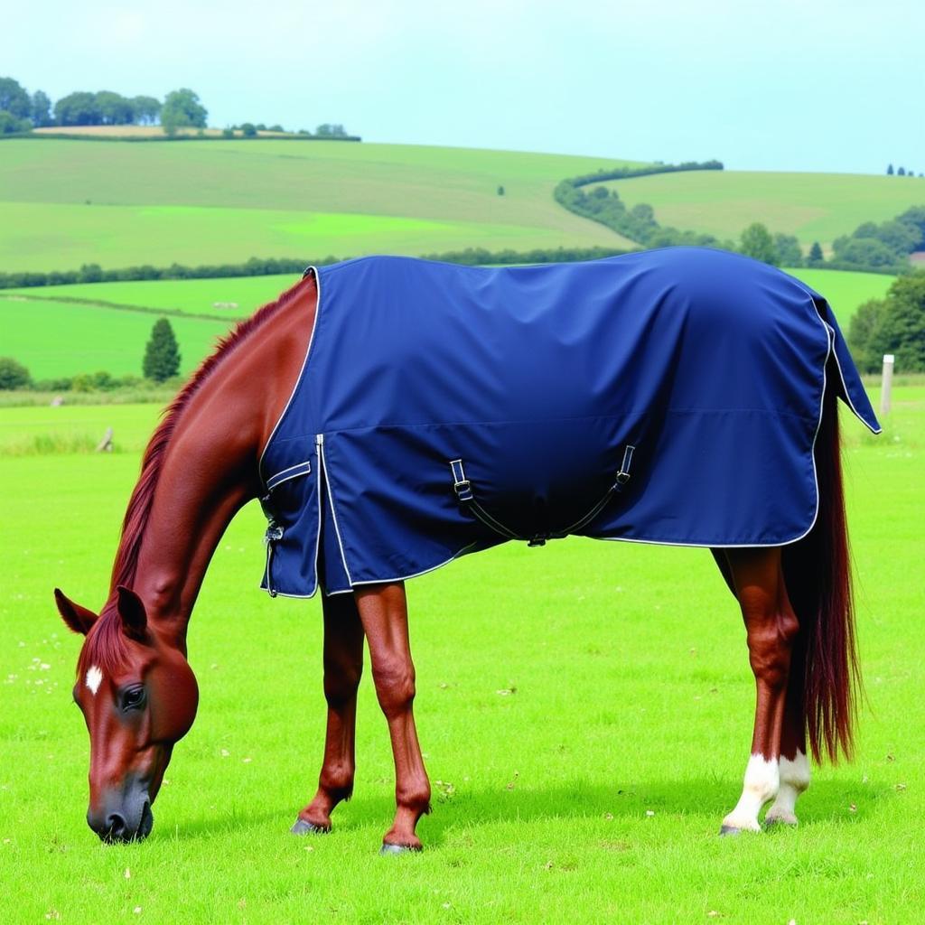 Horse wearing a turnout sheet in a field