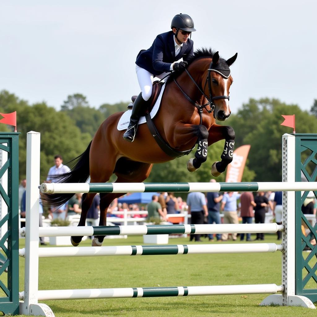 Maffitt Lake Horse Show Competition