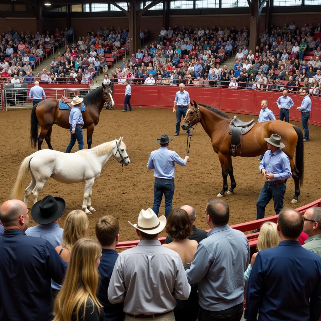 Buyers and sellers interact at a Memphis horse auction