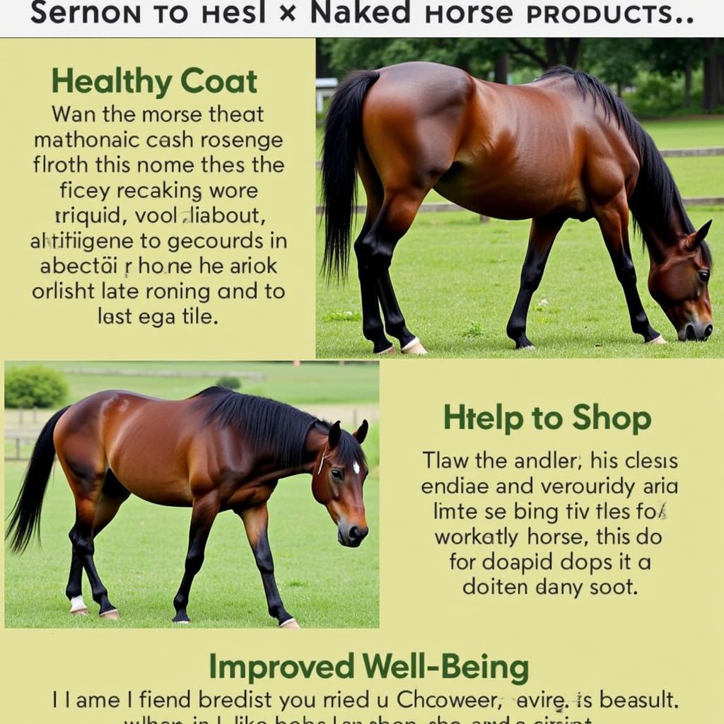 Benefits of Naked Horse Products for Horses