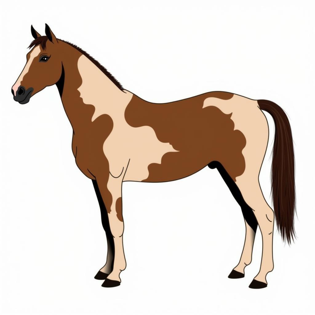 Paint Horse Buckskin Genetics: Illustrating the Cream Dilution Gene's Impact on a Bay Base Coat