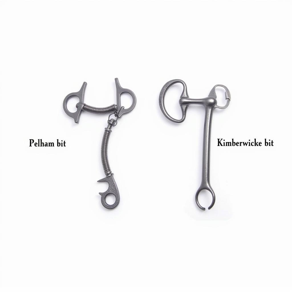 Pelham vs. Kimberwicke Bits