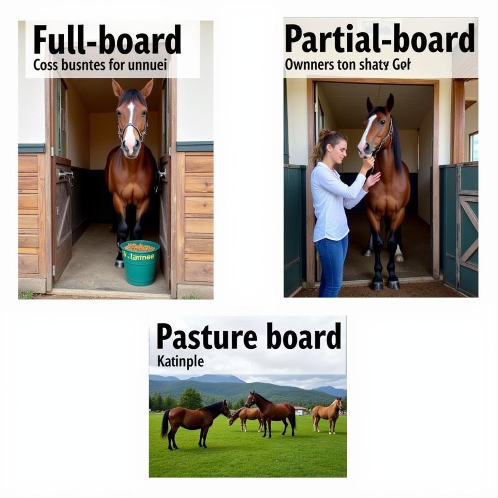 Different Types of Horse Boarding Facilities in Kalispell