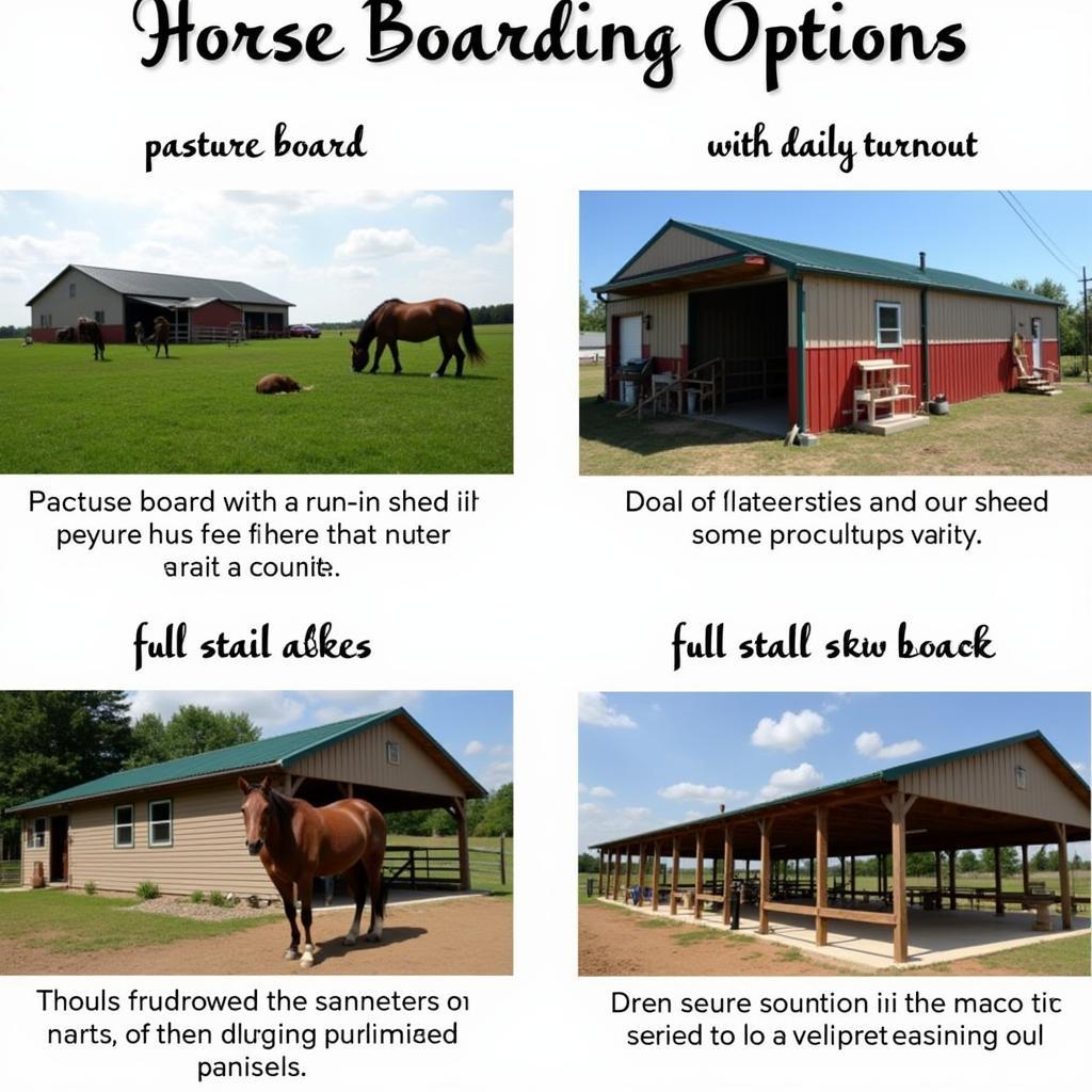 Different Types of Horse Boarding Options in Springfield, MO