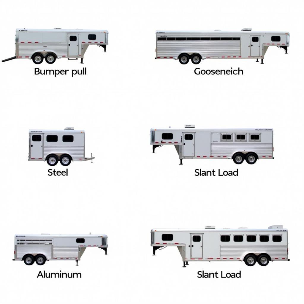 Different Types of Used 2 Horse Trailers