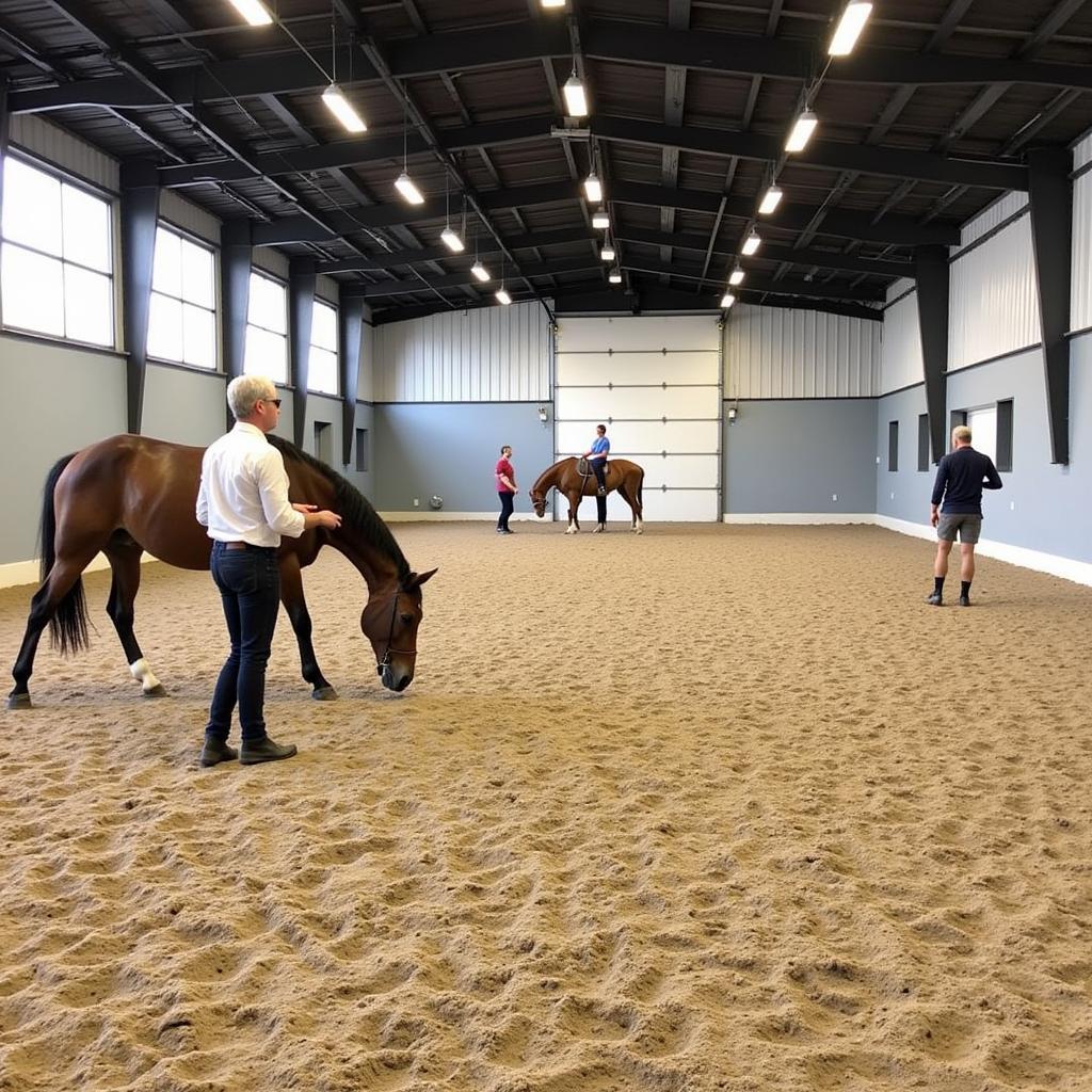 State-of-the-Art Training Arena at Valar Horse Facility