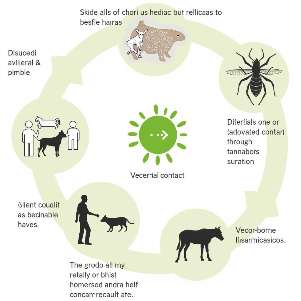 Zoonotic Disease Transmission Diagram